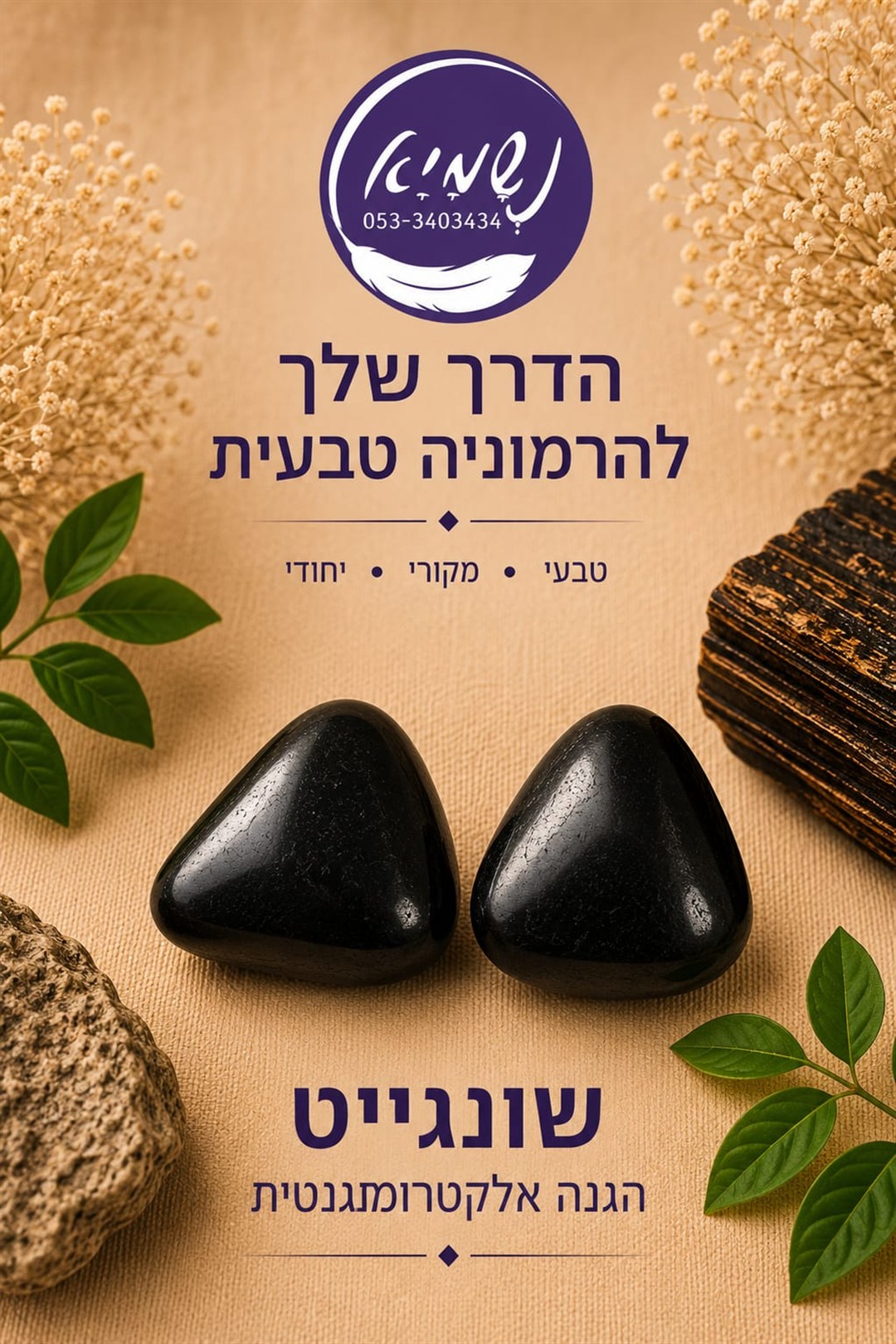 חלוקי שונגייט — נשמיא