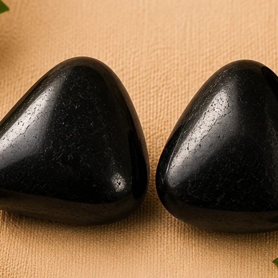 חלוקי שונגייט — נשמיא